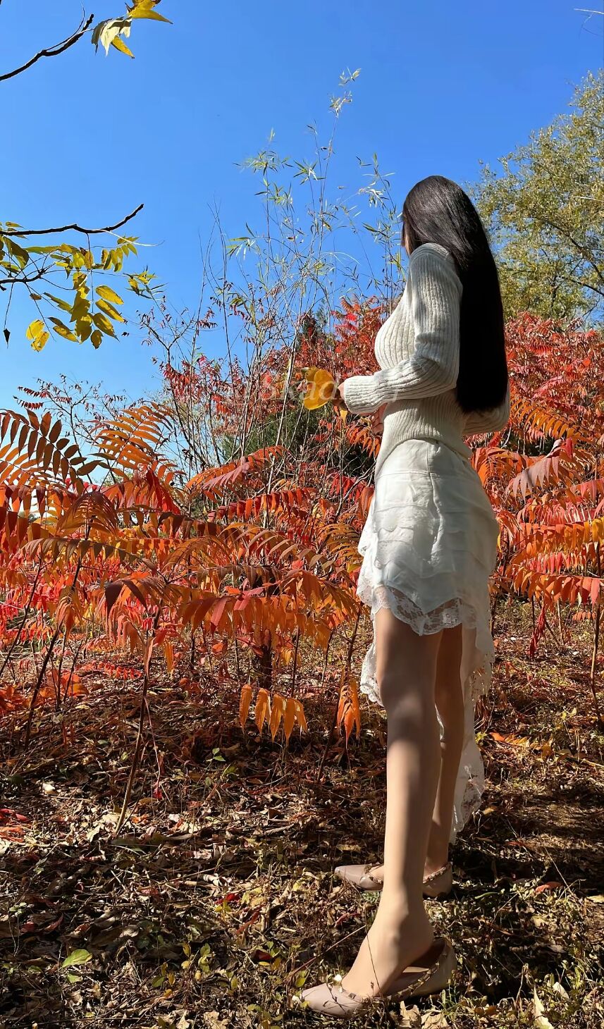 导游服务属于陪游服务吗?